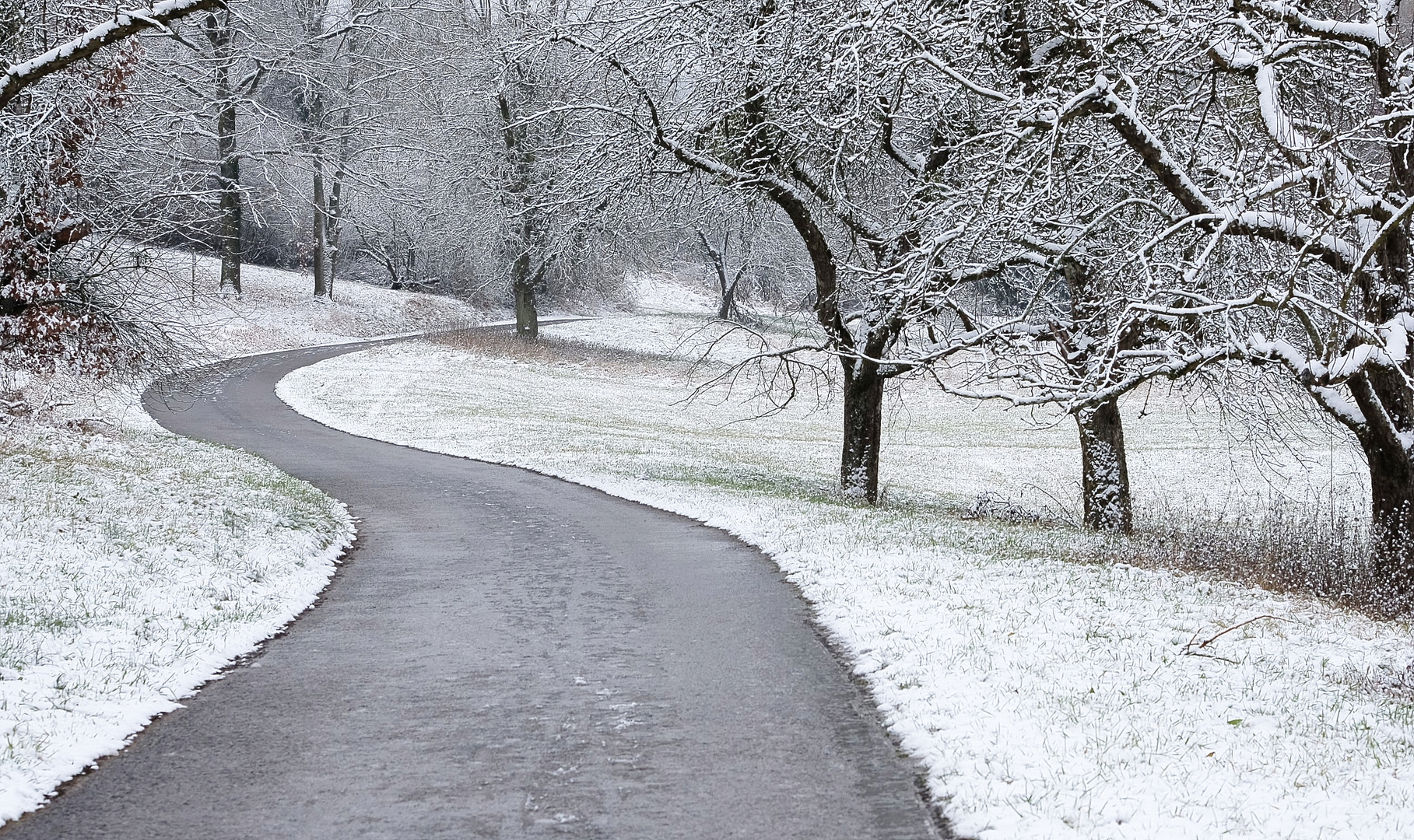 Winter-Spaziergang