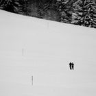 Winter- Spaziergang