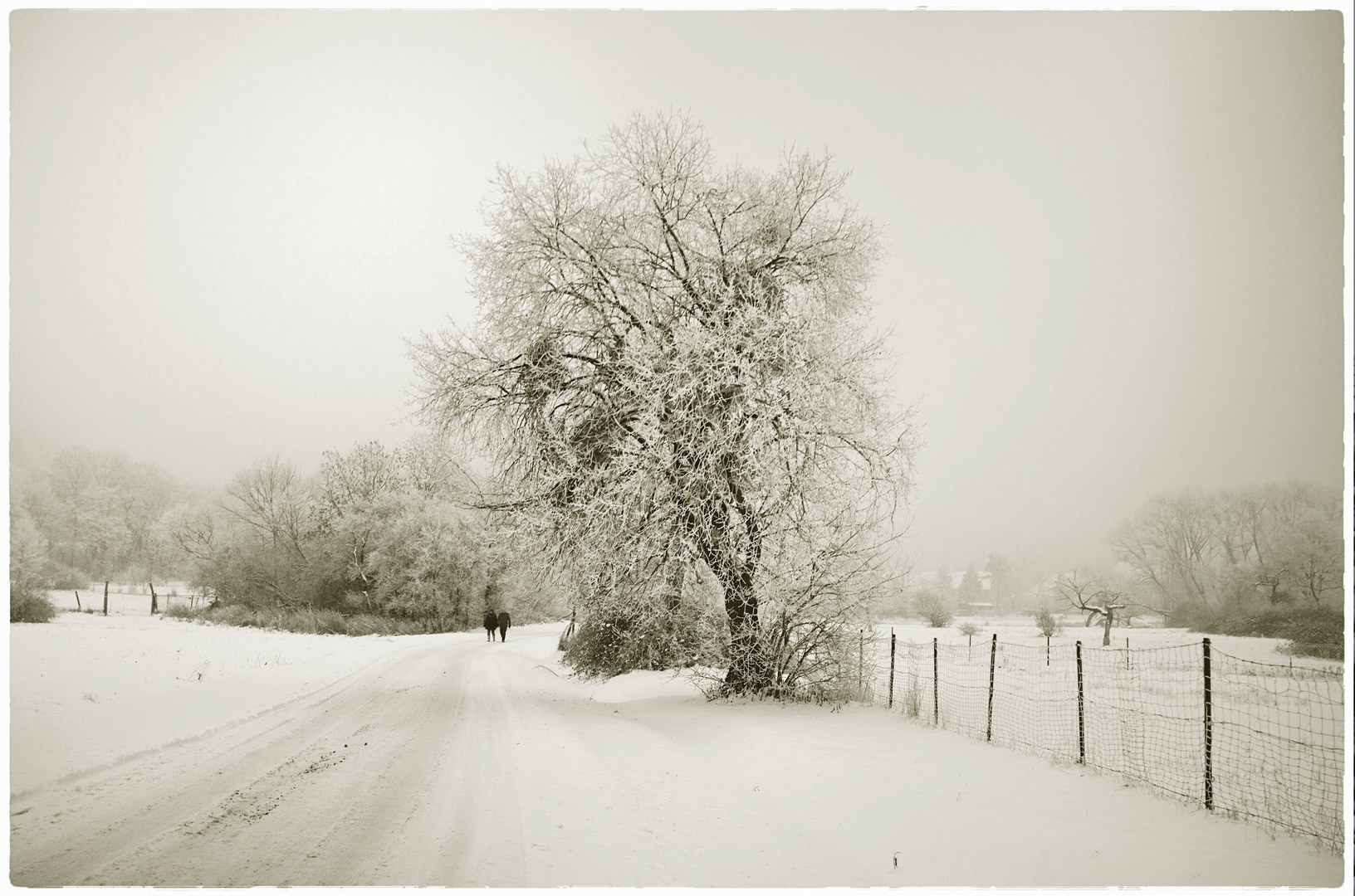 Winter-Spaziergang