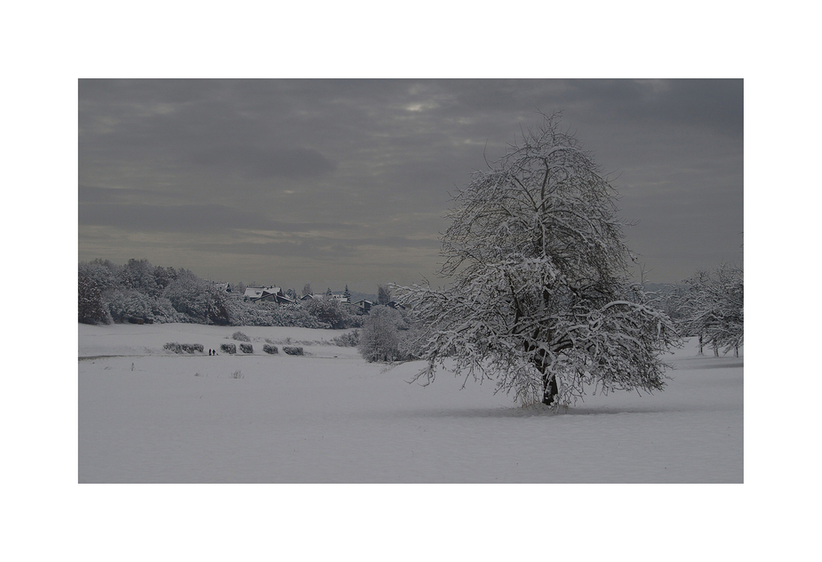 --- winter- spaziergang  ---