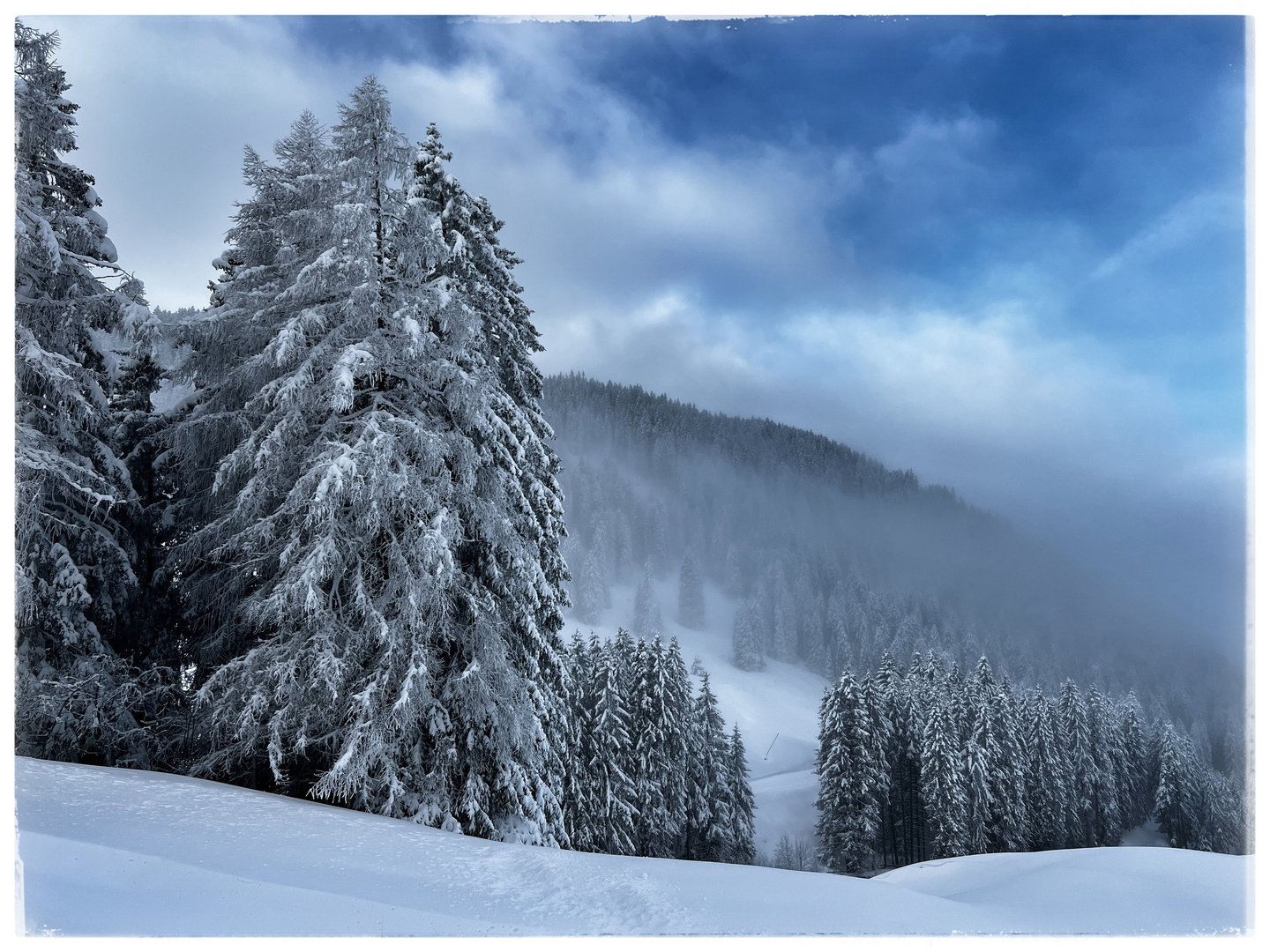 Winter Spaziergang 