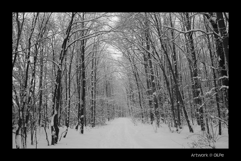 Winter Spaziergang