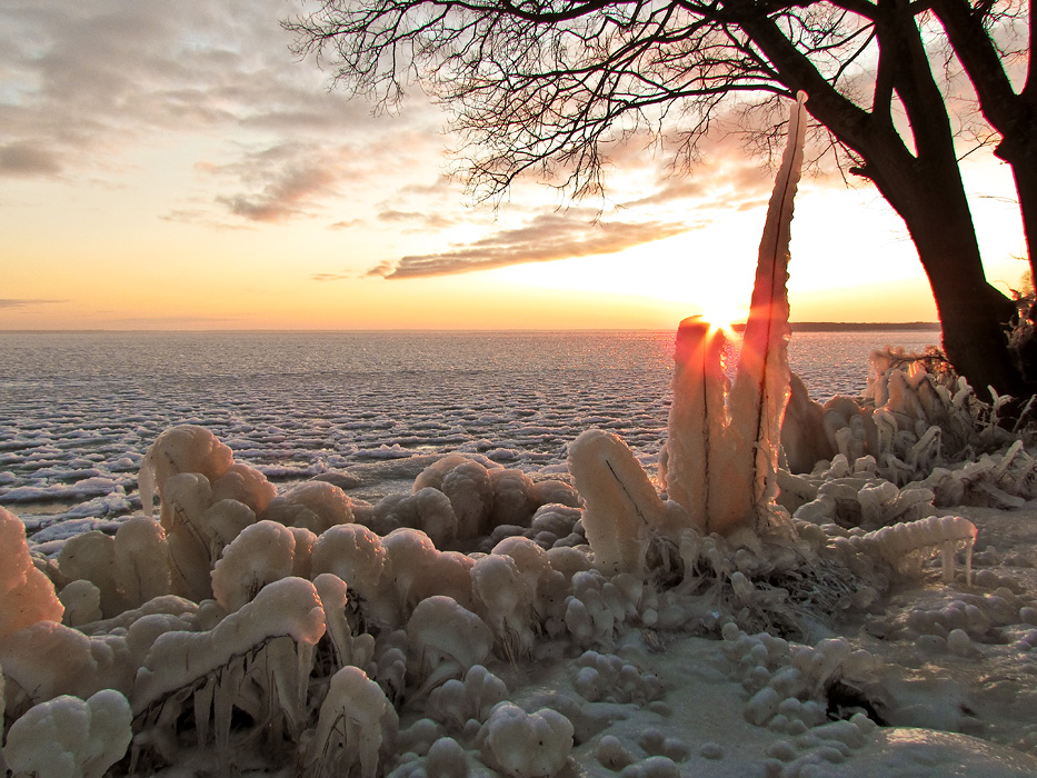 Winter-Spaziergang