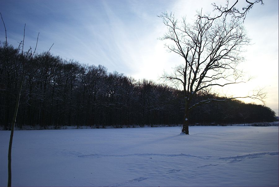 Winter Spaziergang die 2.