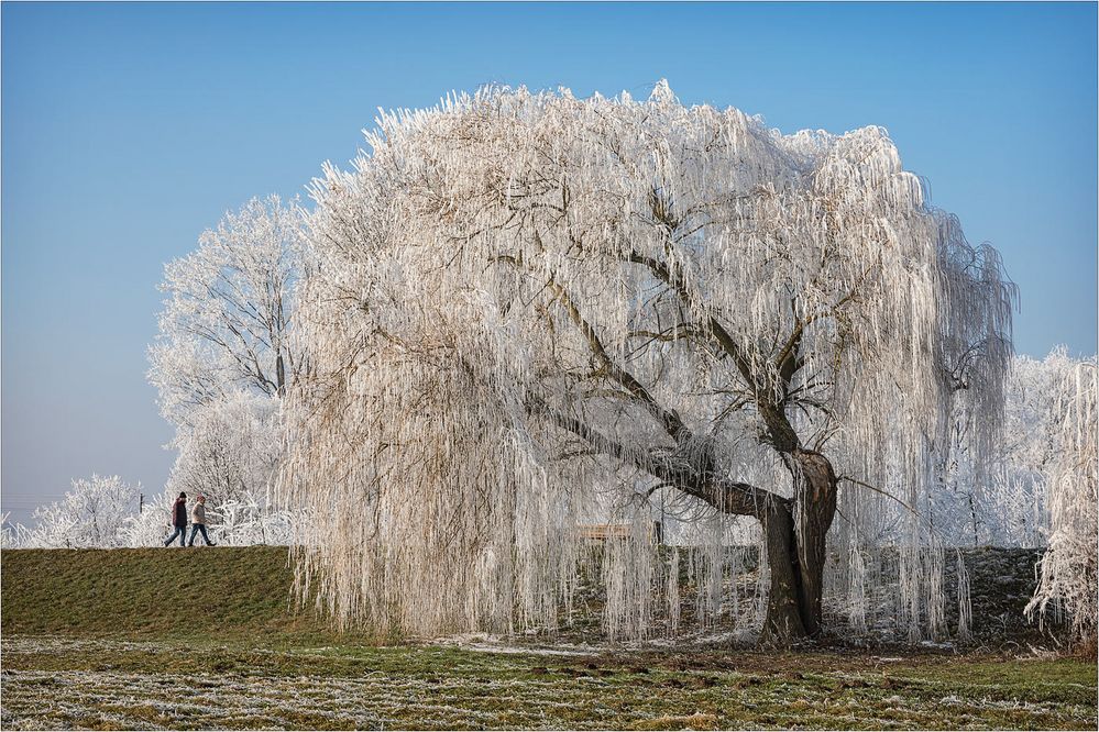 Winter-Spaziergang