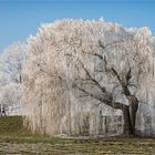 Winter-Spaziergang