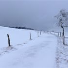 Winter-Spaziergang