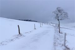 Winter-Spaziergang