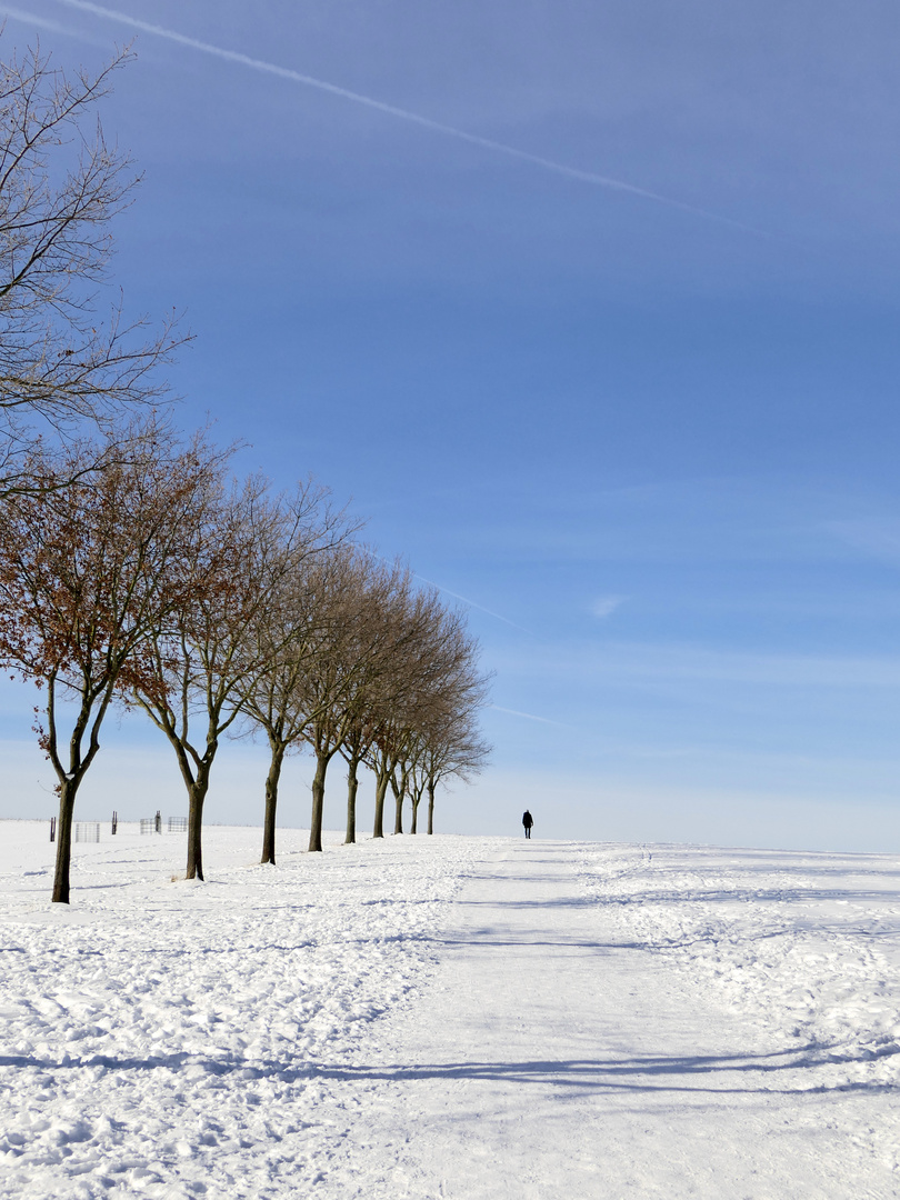 Winter-Spaziergang