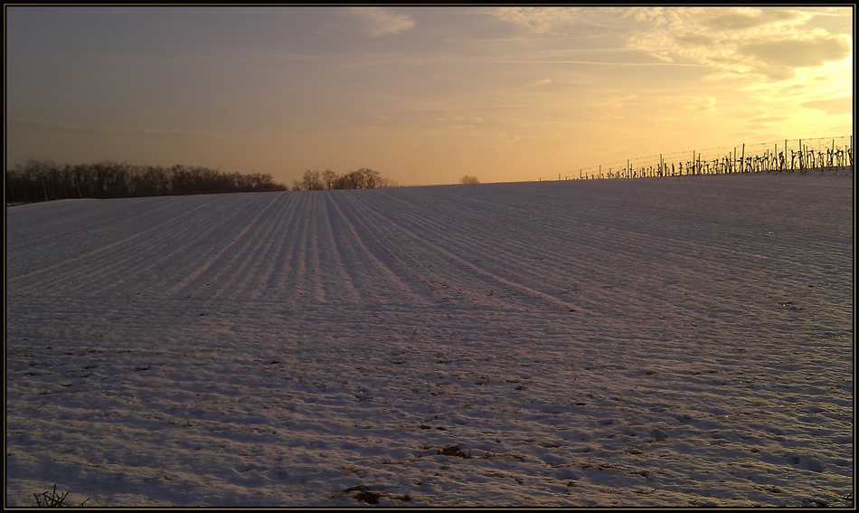 Winter - Spaziergang  II