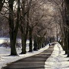 Winter-Spaziergang in der Schafstall-Allee