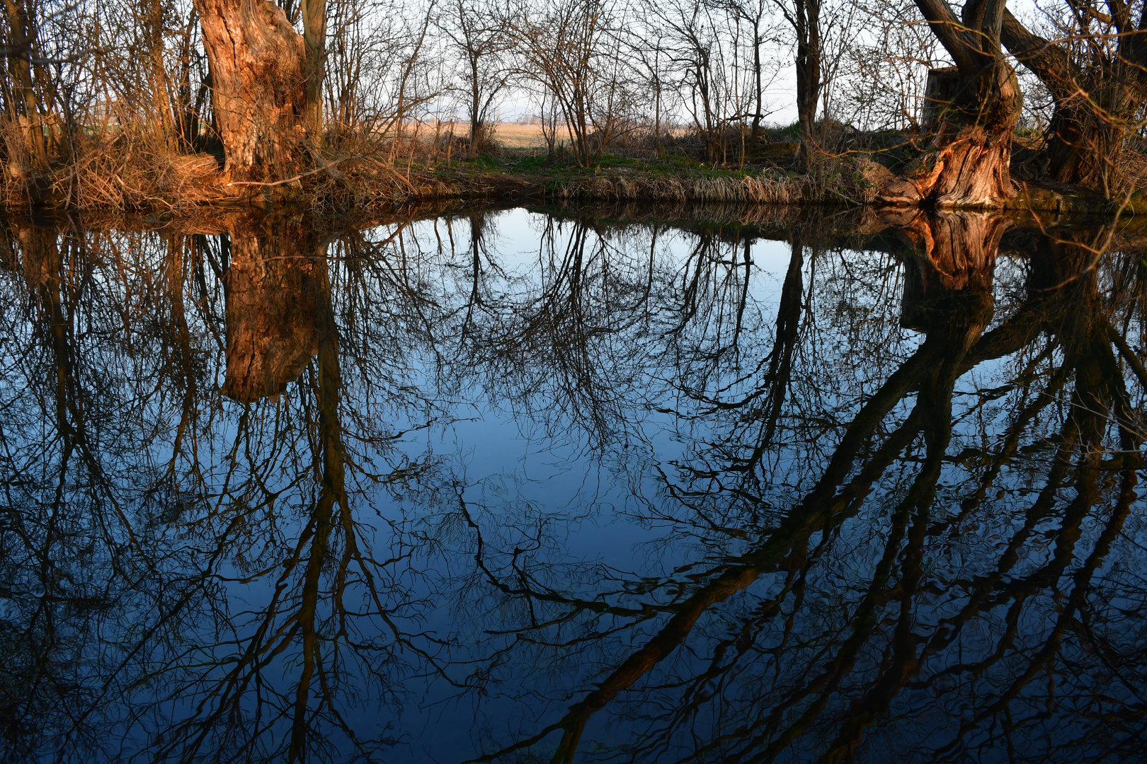 Winter-Spiegeltag 