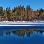 Winter Spiegelung