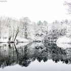 Winter Spiegelung