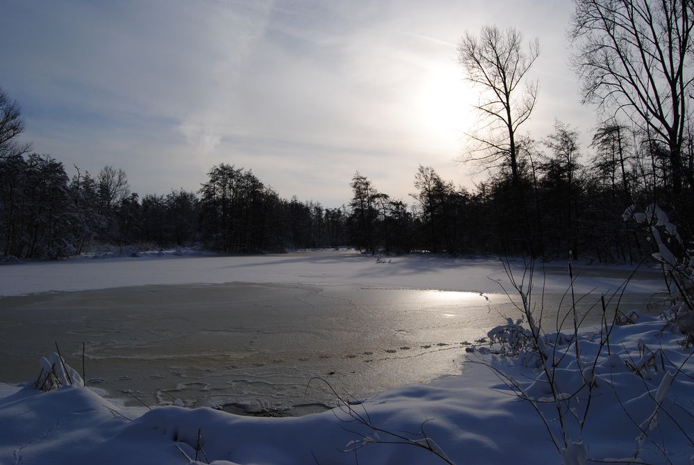 Winter spüren von redrib 