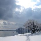 Winter Starnberger See