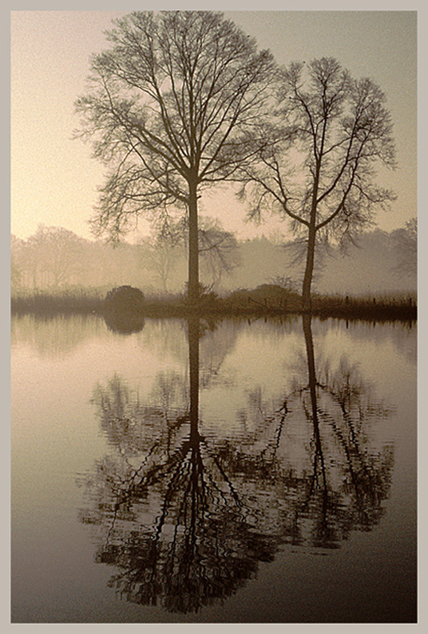 Winter-Stille von Peter C. Peine