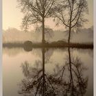 Winter-Stille