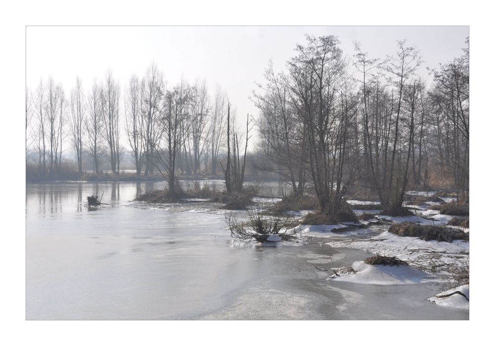 Winter - Stille -2-