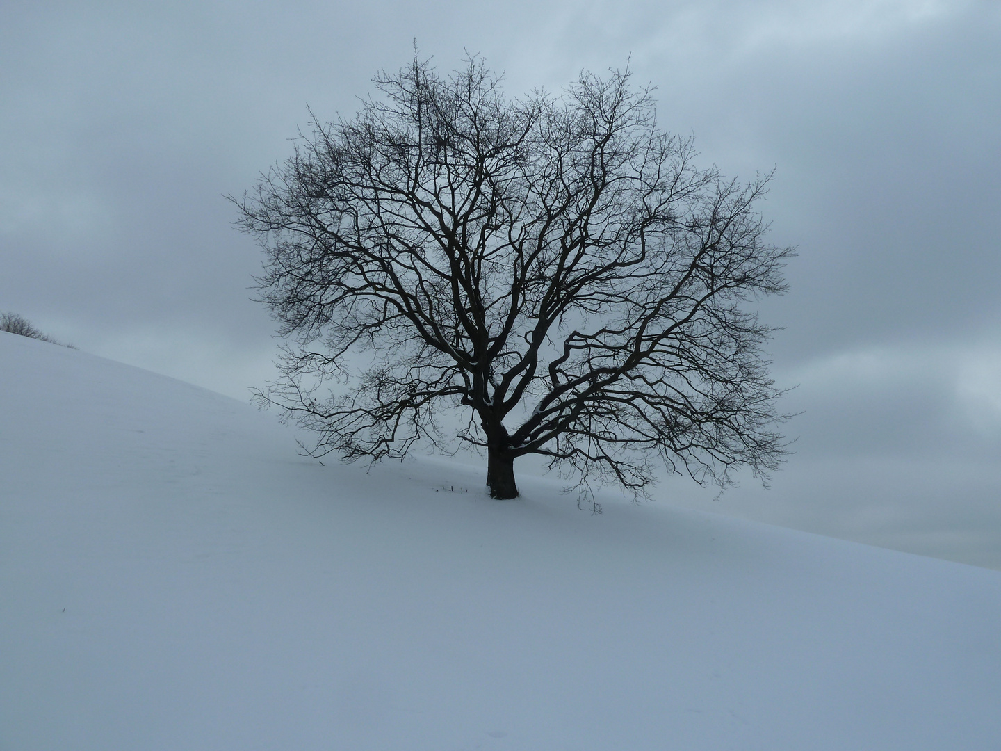 Winter Stille