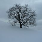 Winter Stille