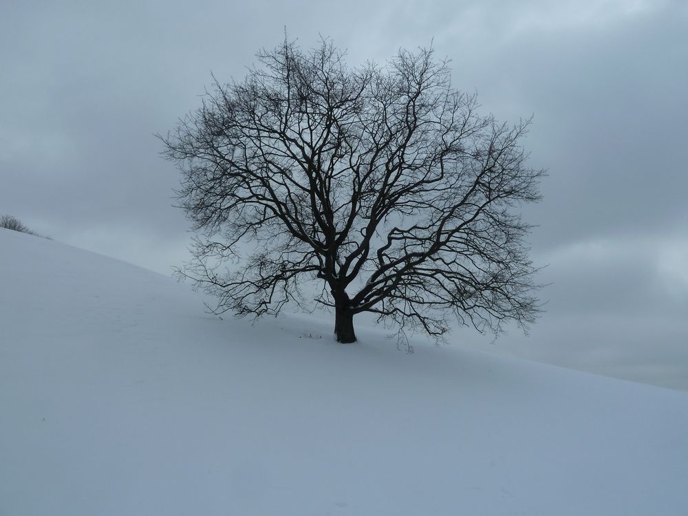 Winter Stille