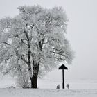 Winter-Stille