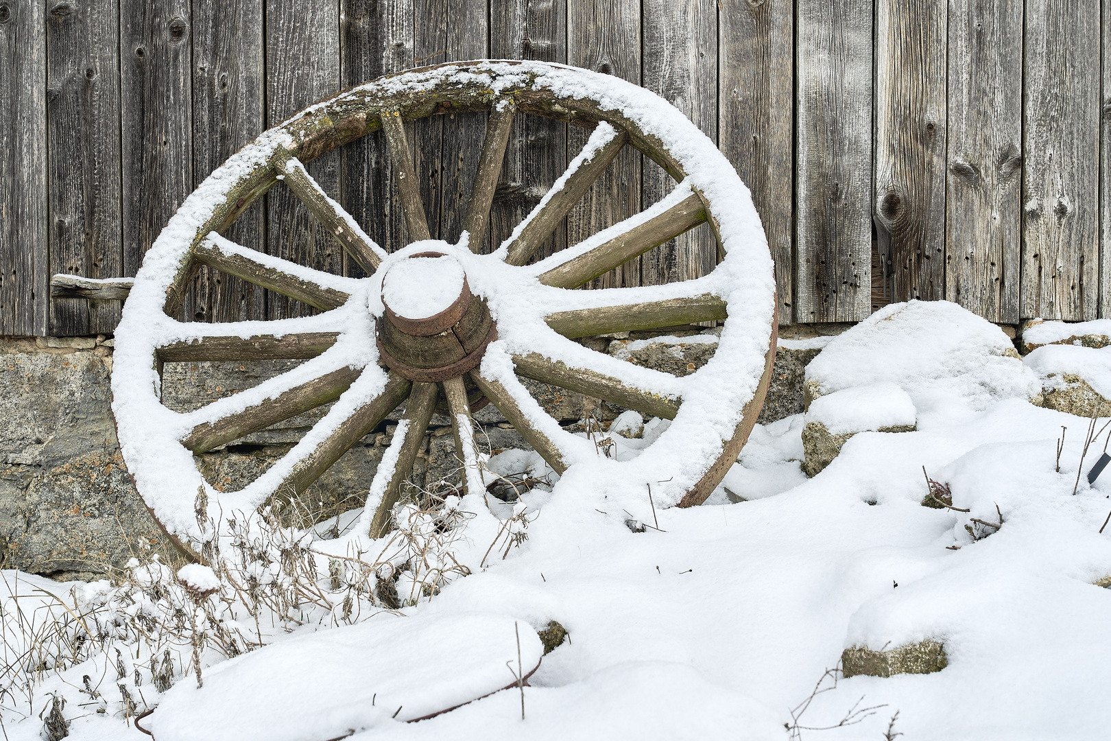 Winter Stillleben