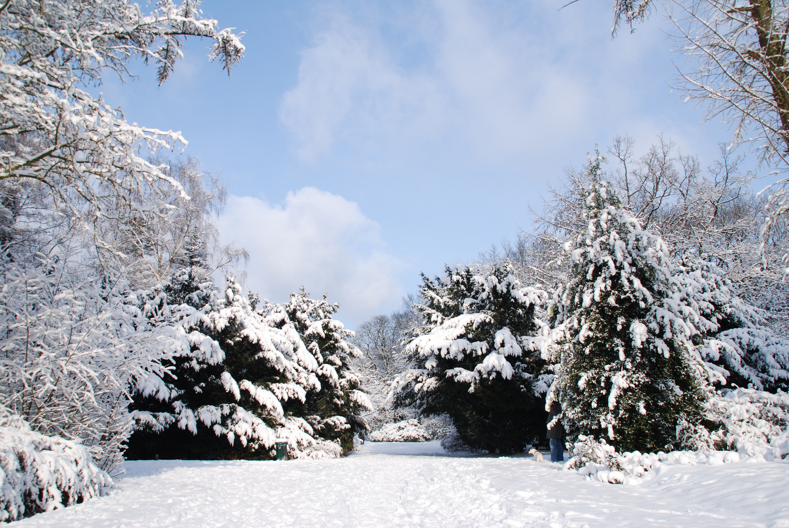 Winter stimmung im HH -Stadtpark