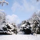 Winter stimmung im HH -Stadtpark