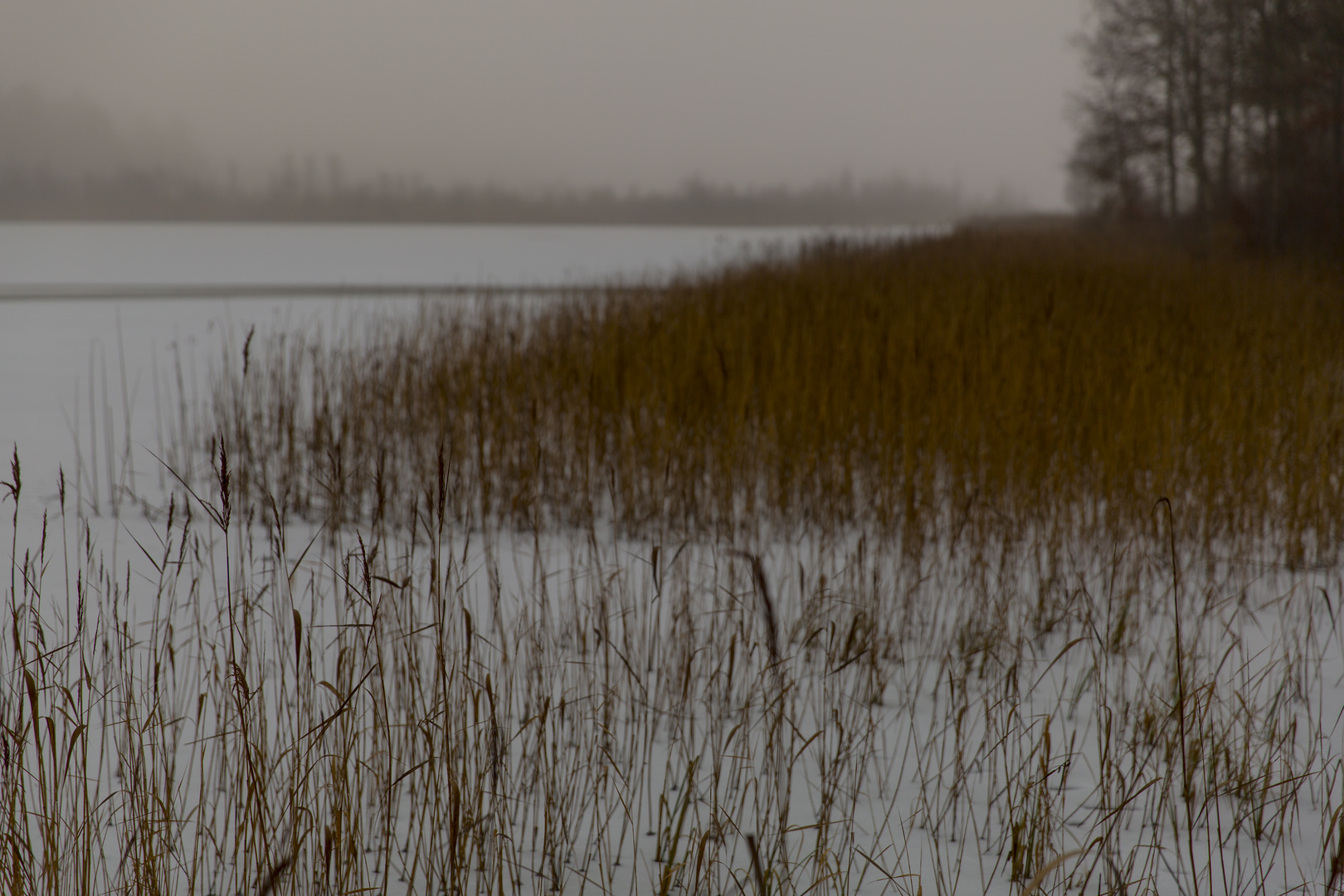 Winter-Strand