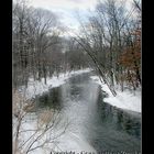 Winter Stream