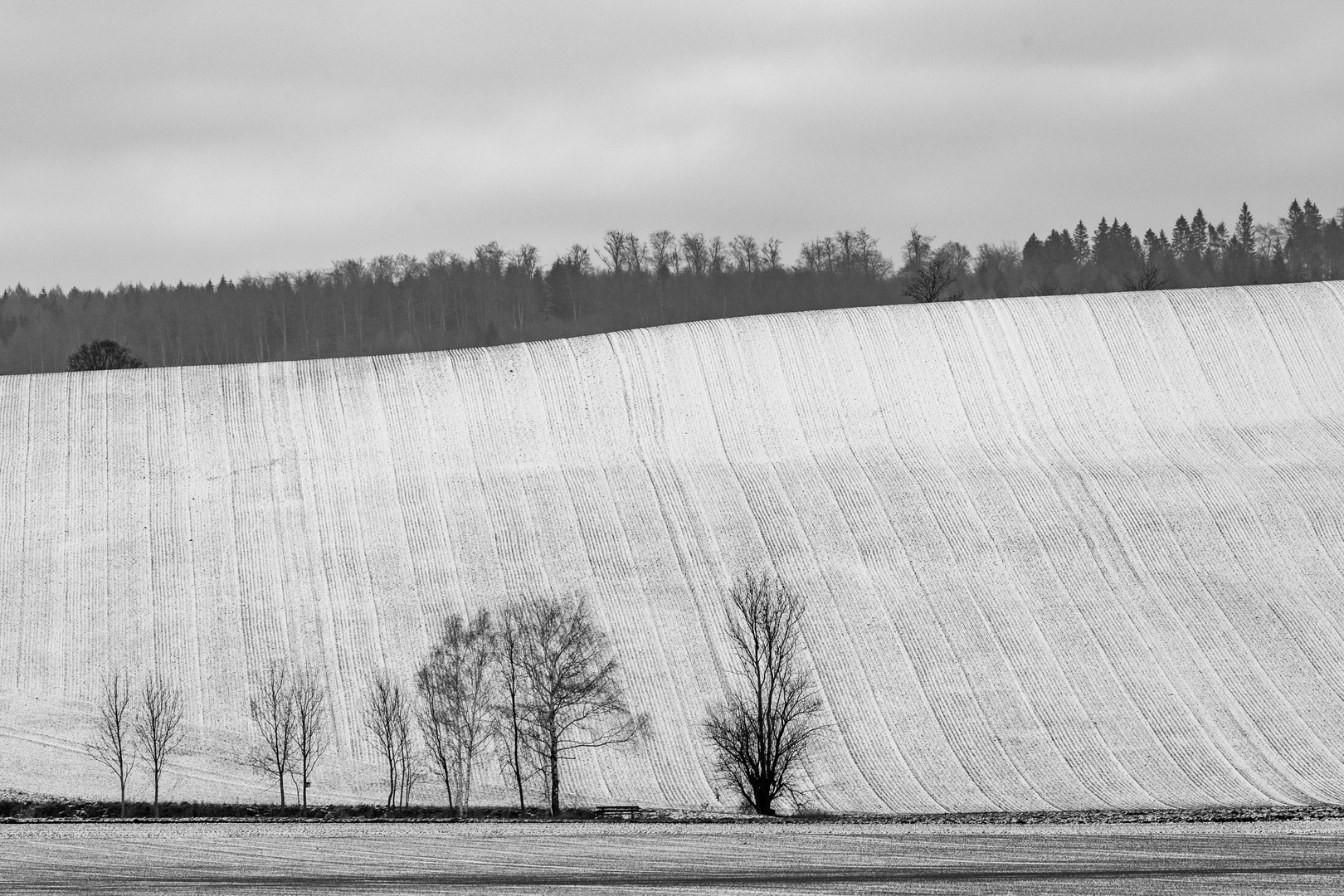 Winter Struktur