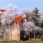 Winter Sulzfeld am Main