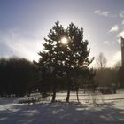 Winter sun