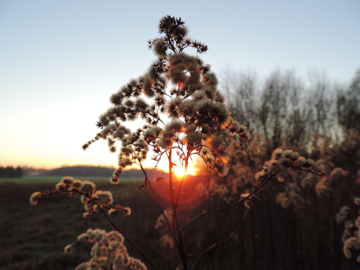 Winter Sun