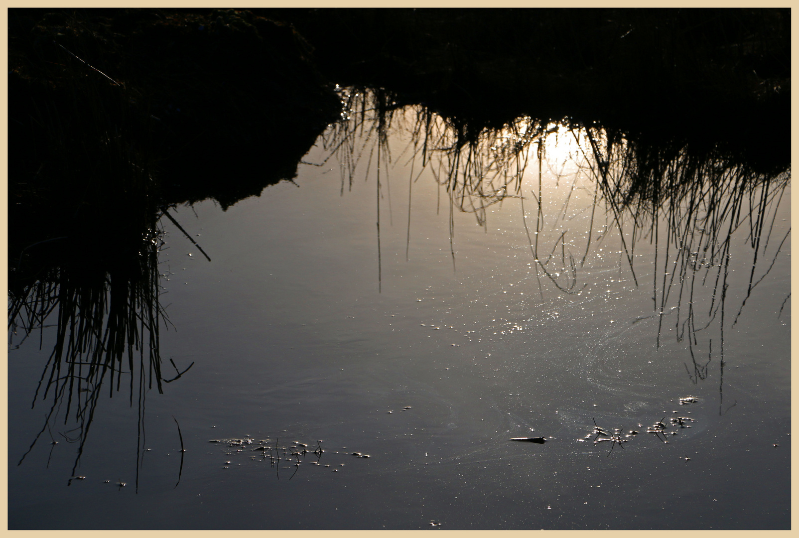 winter sun on holy island 2