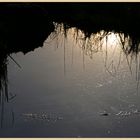 winter sun on holy island 2