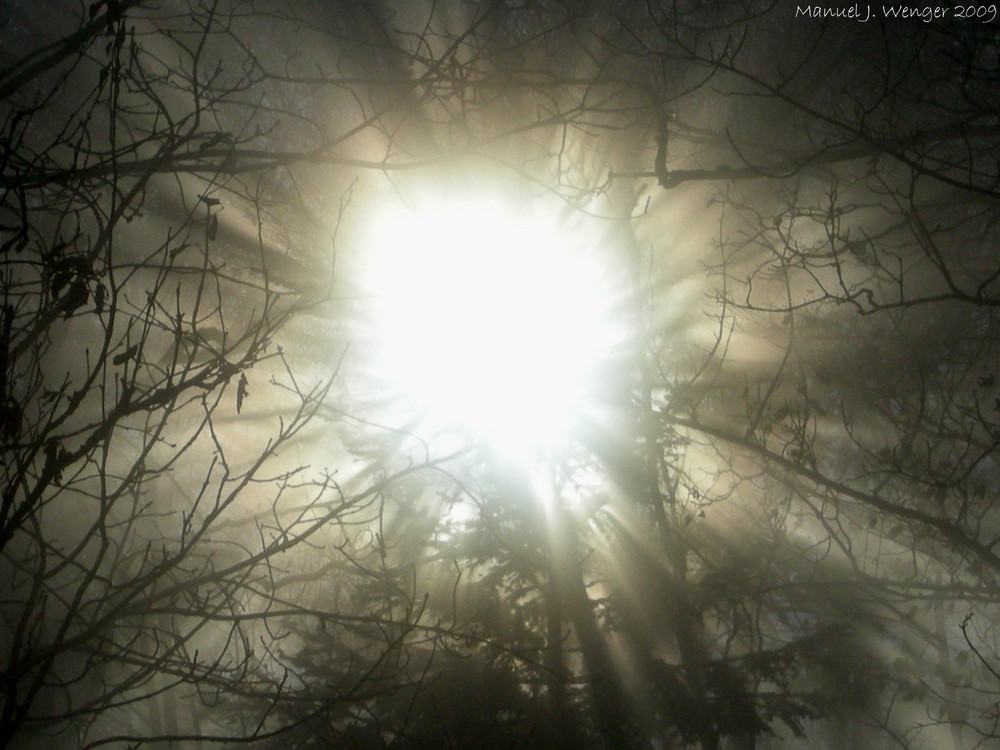 Winter - Sunbeams