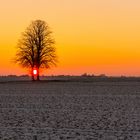 winter sundown