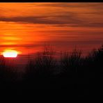 winter sundown silhouettes