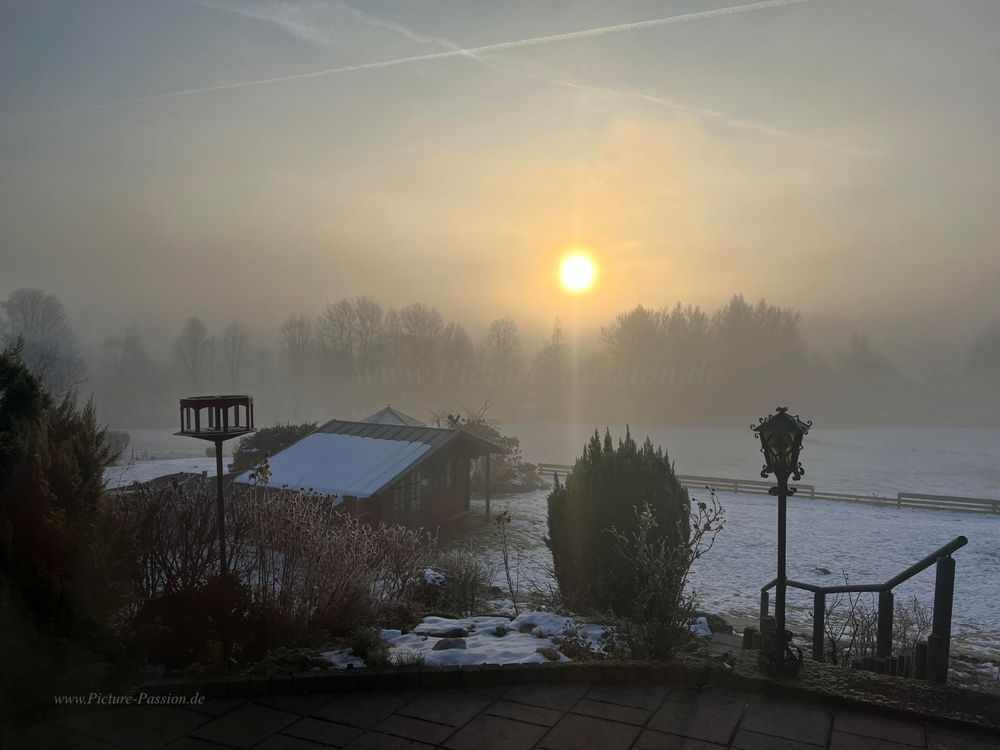 Winter Sunrise
