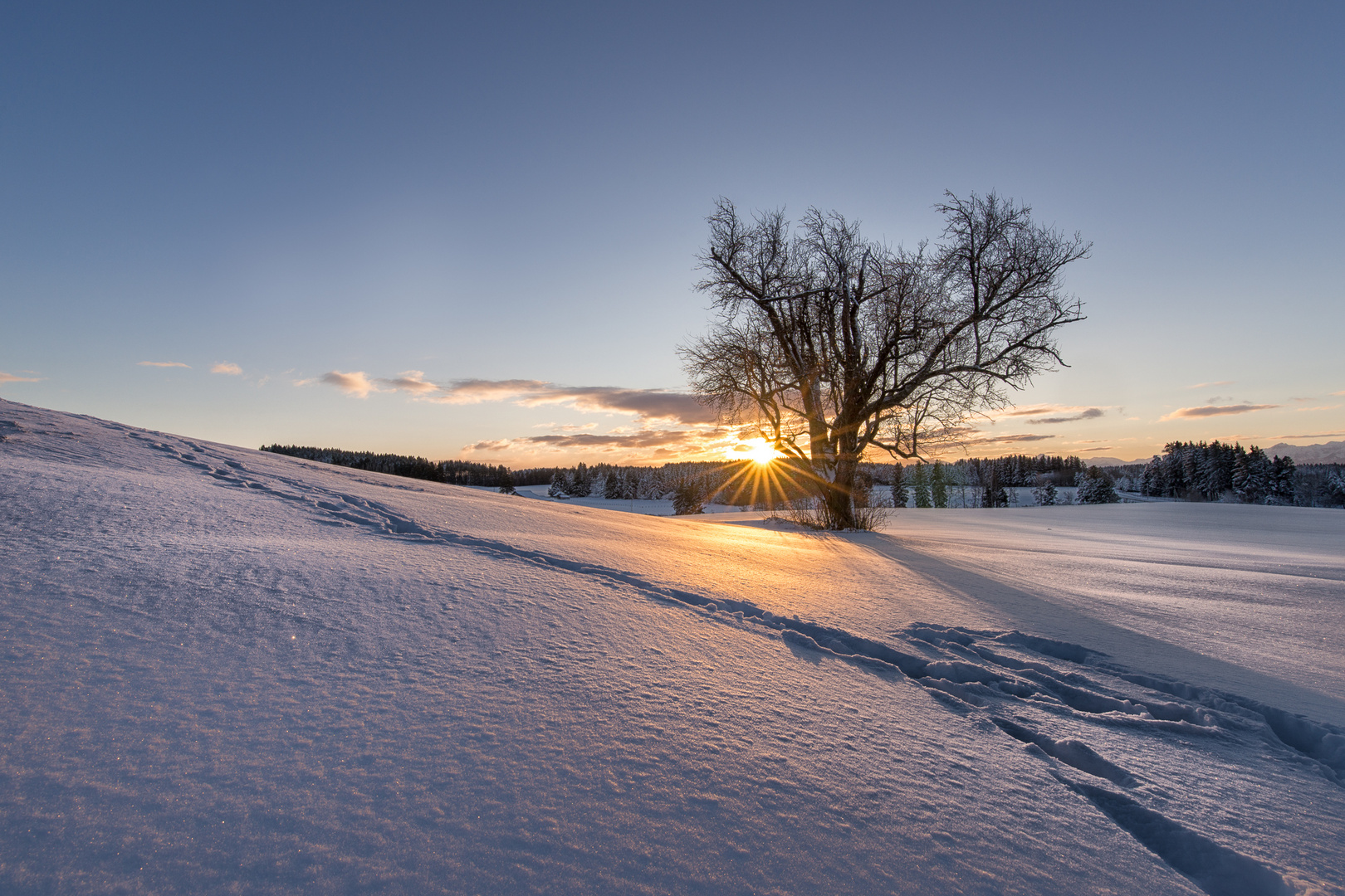 Winter-Sunrise