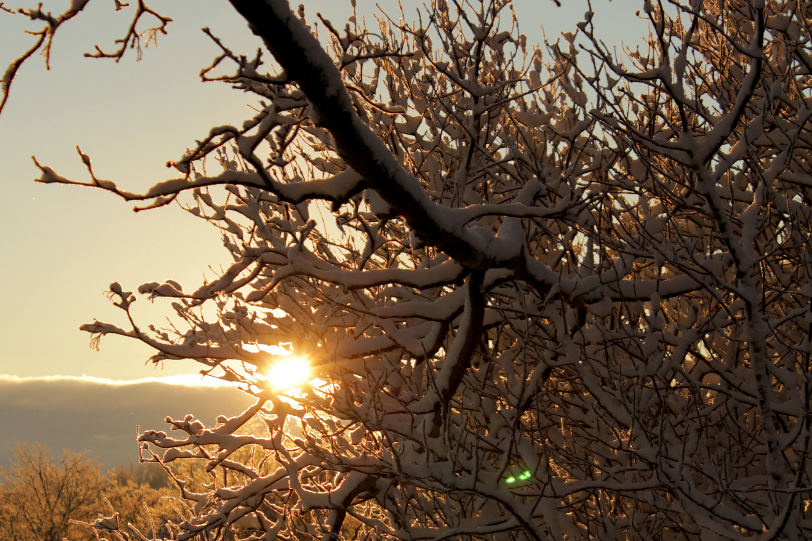 Winter sunrise.