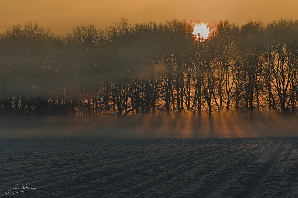 Winter sunrise