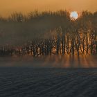 Winter sunrise