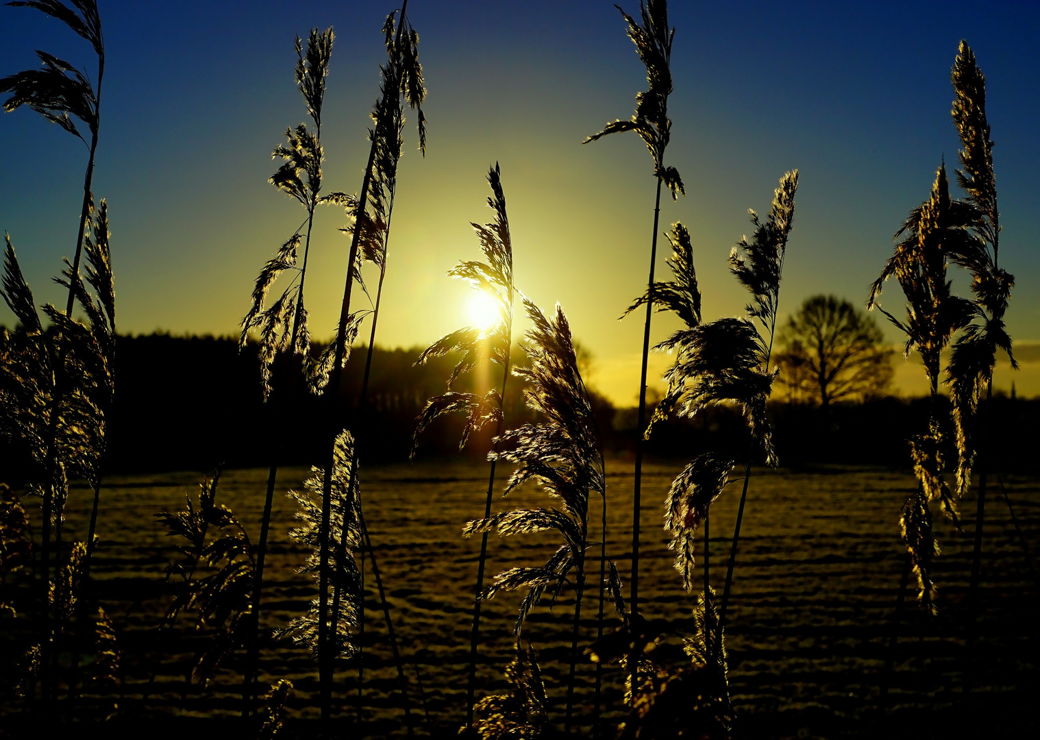 Winter Sunrise