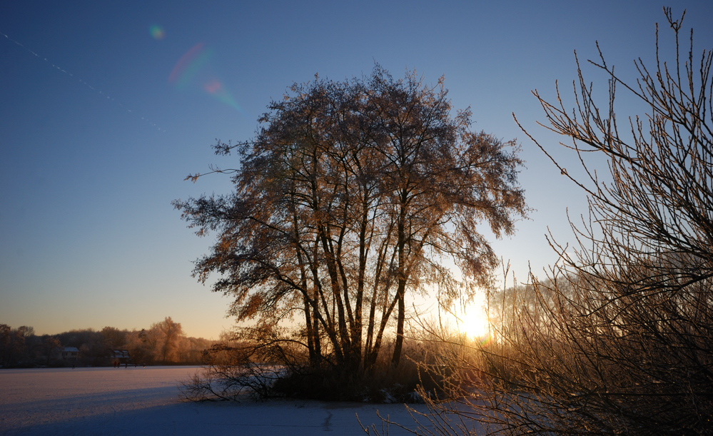 Winter sunrise