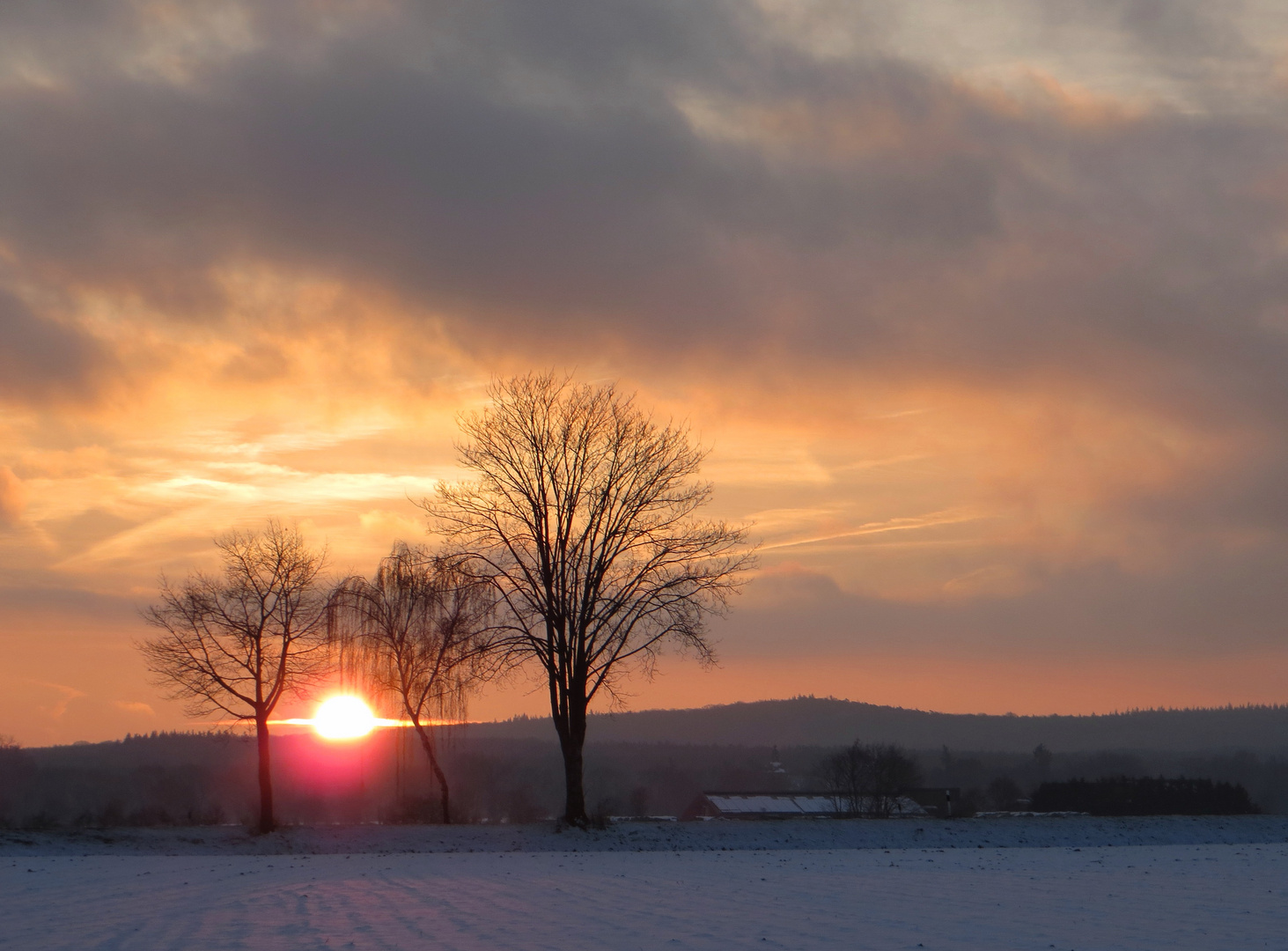 Winter Sunrise (this morning)