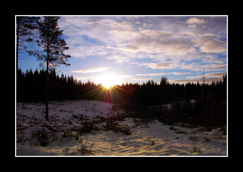 Winter sunset